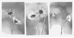 22.gif